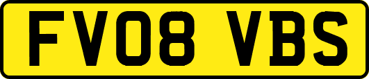 FV08VBS