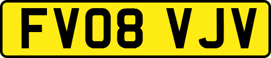 FV08VJV