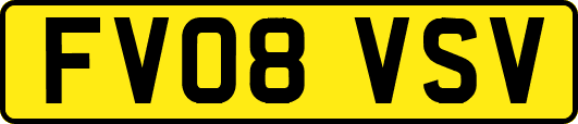 FV08VSV