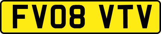 FV08VTV