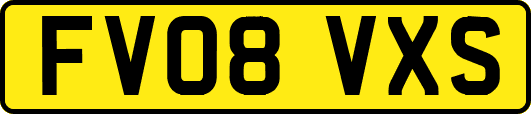 FV08VXS