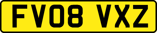 FV08VXZ