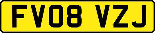 FV08VZJ