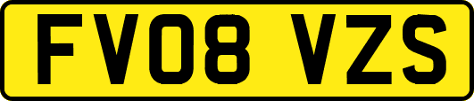 FV08VZS