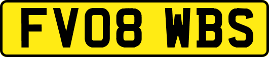 FV08WBS