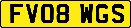 FV08WGS
