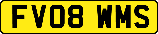 FV08WMS
