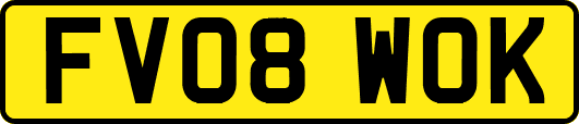 FV08WOK