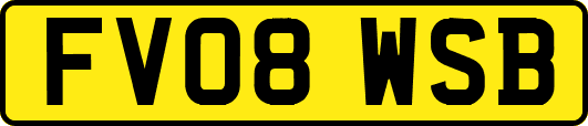 FV08WSB