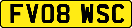 FV08WSC