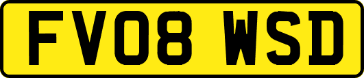 FV08WSD