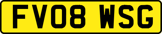 FV08WSG
