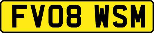 FV08WSM