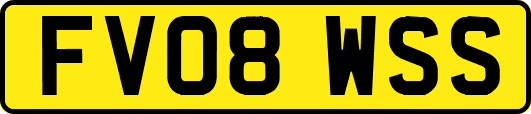FV08WSS