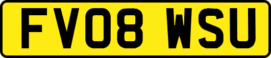 FV08WSU