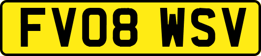 FV08WSV