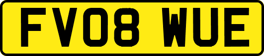 FV08WUE