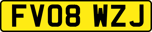 FV08WZJ