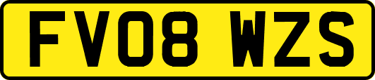 FV08WZS
