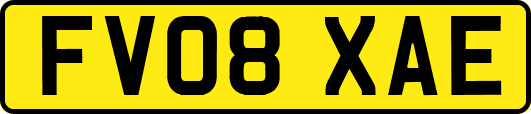 FV08XAE