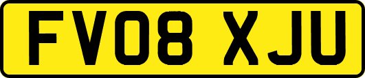 FV08XJU