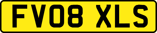 FV08XLS