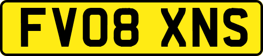 FV08XNS