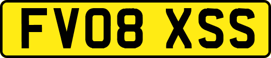 FV08XSS