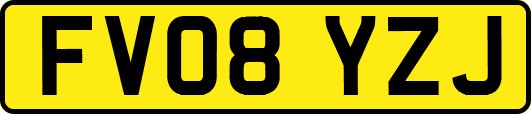 FV08YZJ