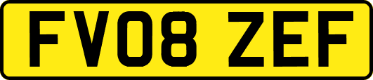 FV08ZEF