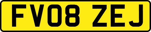 FV08ZEJ