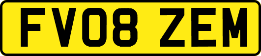 FV08ZEM