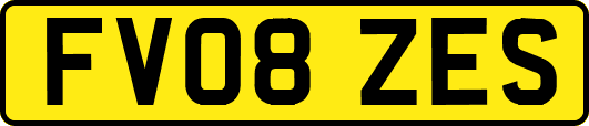 FV08ZES