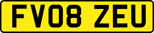 FV08ZEU