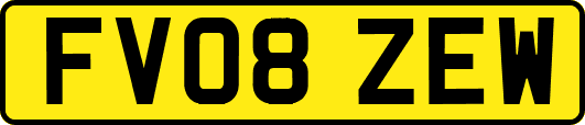 FV08ZEW