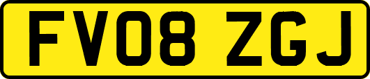 FV08ZGJ