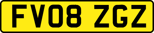FV08ZGZ