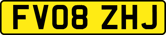 FV08ZHJ