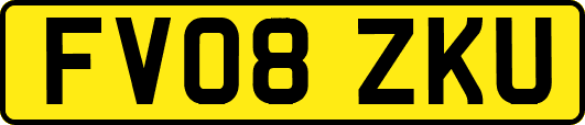 FV08ZKU