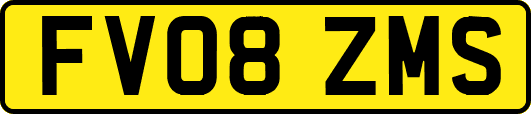 FV08ZMS