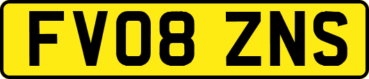 FV08ZNS