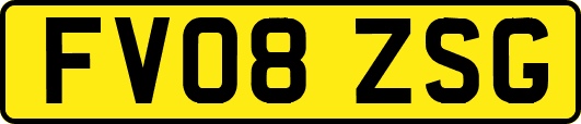 FV08ZSG