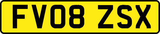 FV08ZSX