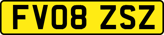 FV08ZSZ