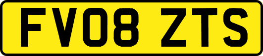 FV08ZTS