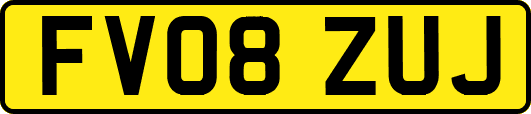 FV08ZUJ