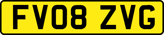 FV08ZVG