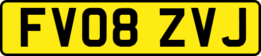 FV08ZVJ