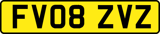 FV08ZVZ