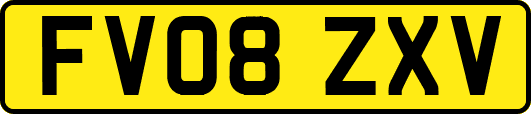 FV08ZXV